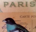 Paris Picture - Modern Bistro